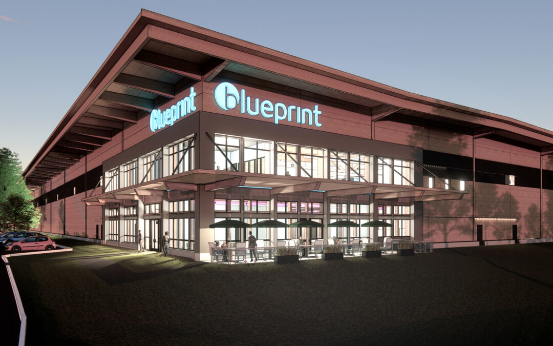 Blueprint Robotics
